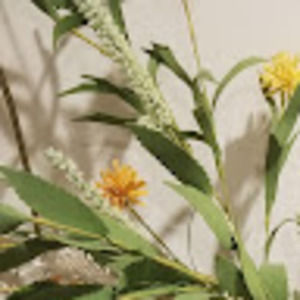 Meet your Posher, Marzena